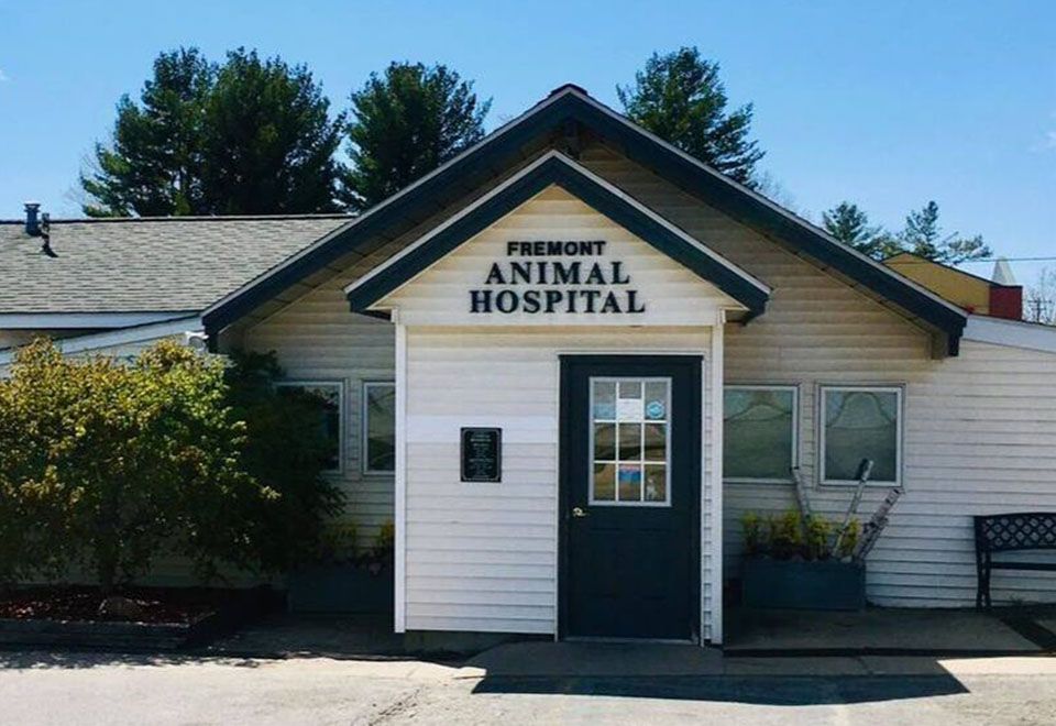 Small white building with "Fremont Animal Hospital" sign above the front door.