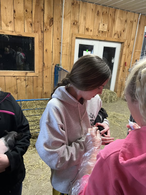 A young woman in a hoodie interacting with others in a barn.