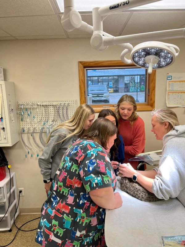 Group of women and a veterinarian examining a dog on a clinic table.