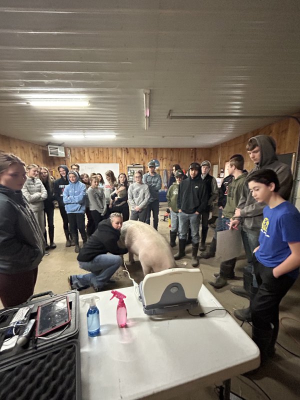 Group of people observing a pig demonstration in a workshop setting.