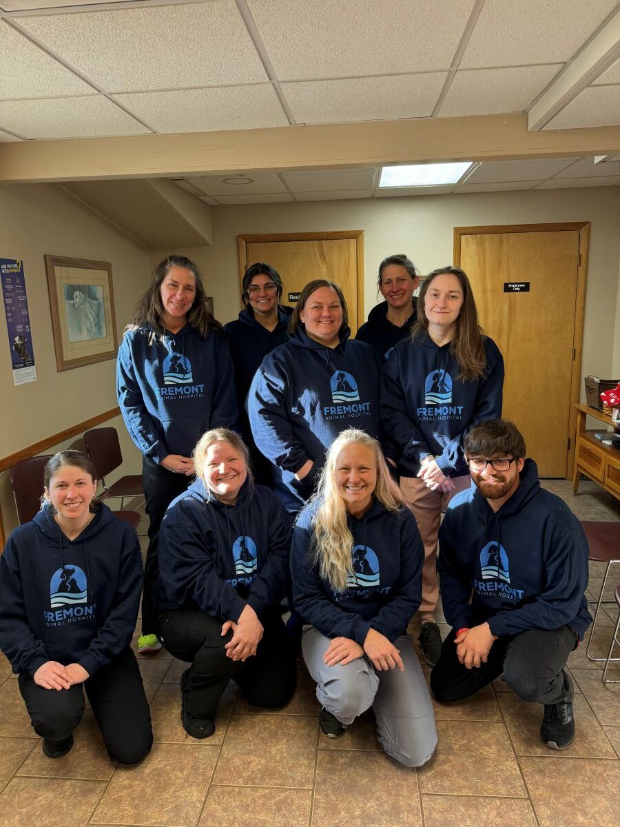 Group of nine people in matching blue hoodies smiling indoors.