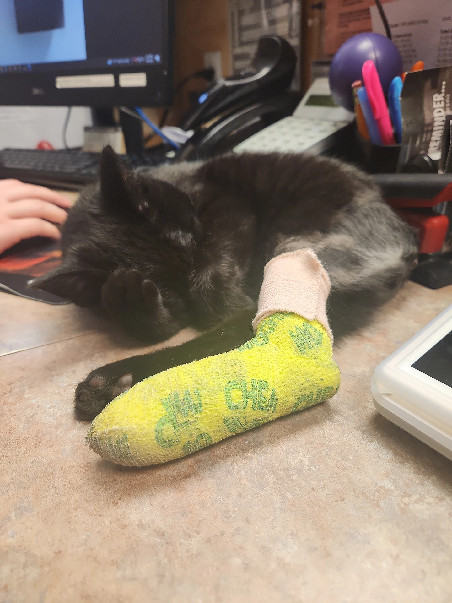Black cat sleeping on a desk with a bandaged leg and a green cast.